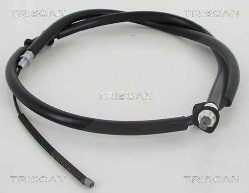 Triscan Handbremsseil Trommelbremse Hinterachse [Hersteller-Nr. 814010161] für Citroën, Peugeot, Fiat