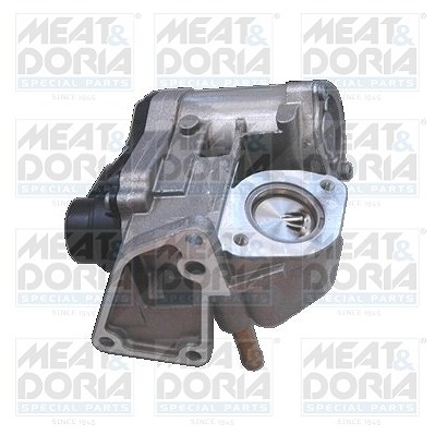 Meat & Doria AGR-Ventil [Hersteller-Nr. 88114] für Audi, VW, Skoda