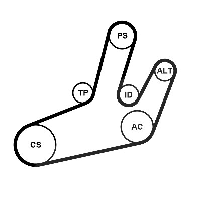 Continental Ctam Keilrippenriemensatz [Hersteller-Nr. 6PK1780K1] für Renault