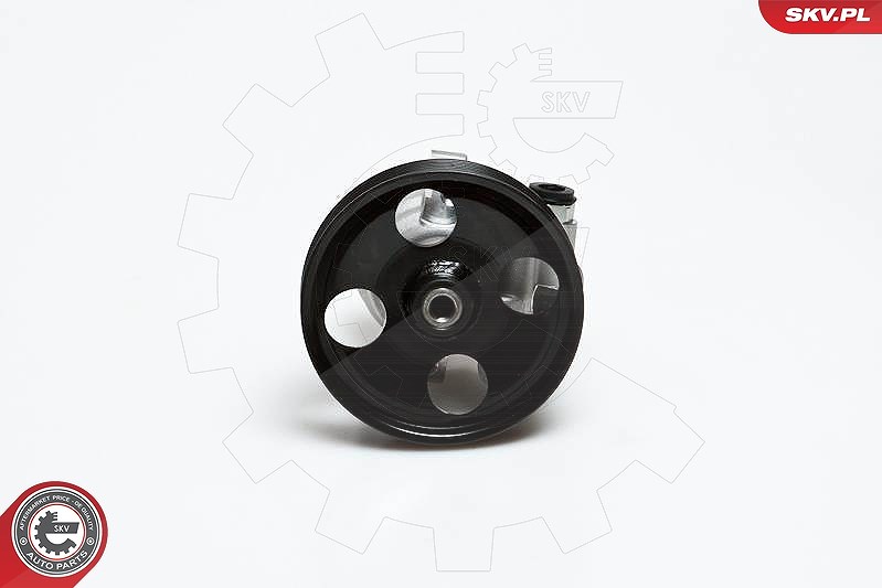 Esen Skv Hydraulikpumpe, Lenkung [Hersteller-Nr. 10SKV168] für Nissan, Opel, Renault