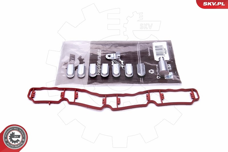 Esen Skv Reparatursatz, Saugrohrmodul [Hersteller-Nr. 49SKV521] für Audi, Seat, Skoda, VW