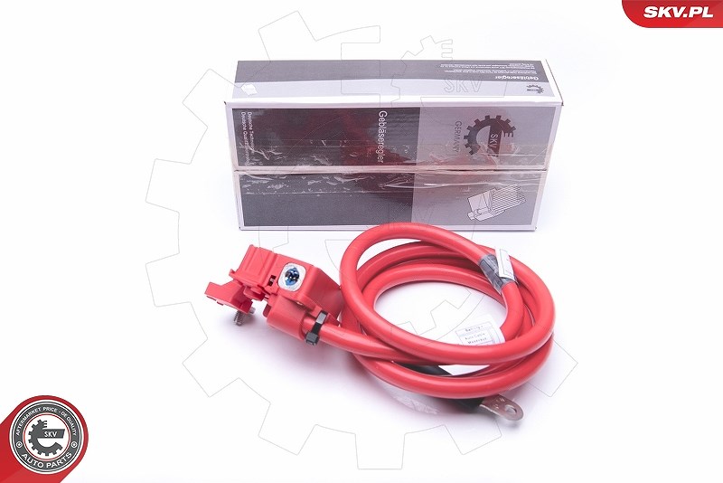 Esen Skv Batterieadapter [Hersteller-Nr. 96SKV308] für BMW