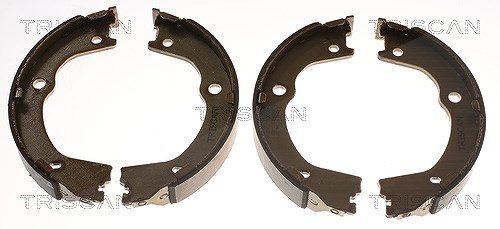 Triscan Bremsbackensatz [Hersteller-Nr. 810043027] für Ssangyong, Hyundai, Kia