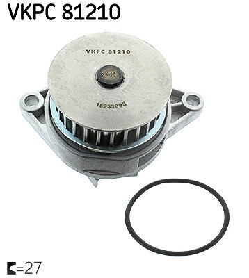 Skf Wasserpumpe [Hersteller-Nr. VKPC81210] für Seat, VW, Skoda