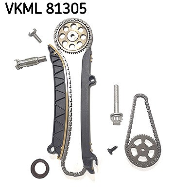 Skf Steuerkettensatz [Hersteller-Nr. VKML81305] für VW, Skoda, Audi, Seat
