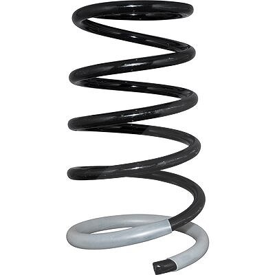 Jp Group Fahrwerksfeder [Hersteller-Nr. 4052200200] für Nissan