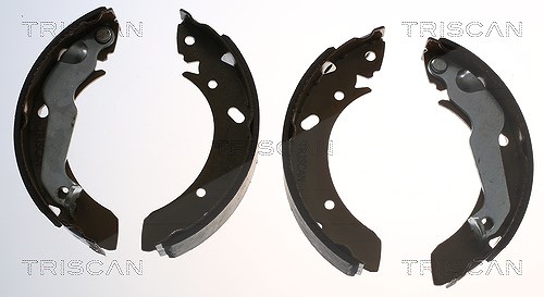 Triscan Bremsbackensatz [Hersteller-Nr. 810043013] für Hyundai