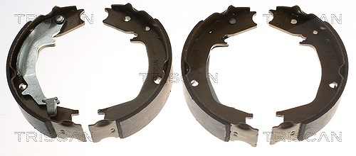 Triscan Bremsbackensatz, Feststellbremse [Hersteller-Nr. 810043016] für Hyundai, Kia