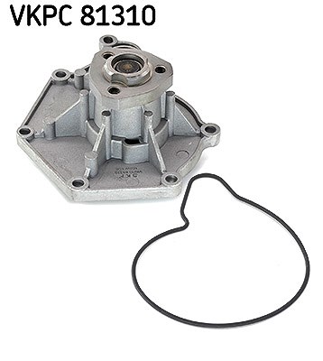 Skf Wasserpumpe [Hersteller-Nr. VKPC81310] für Porsche, Audi, VW