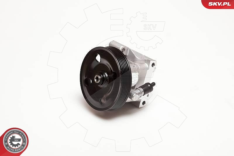 Esen Skv Hydraulikpumpe, Lenkung [Hersteller-Nr. 10SKV001] für Ford