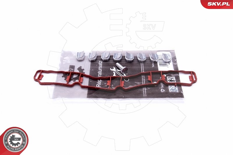 Esen Skv Reparatursatz, Saugrohrmodul [Hersteller-Nr. 49SKV510] für Audi, Skoda, Seat, VW
