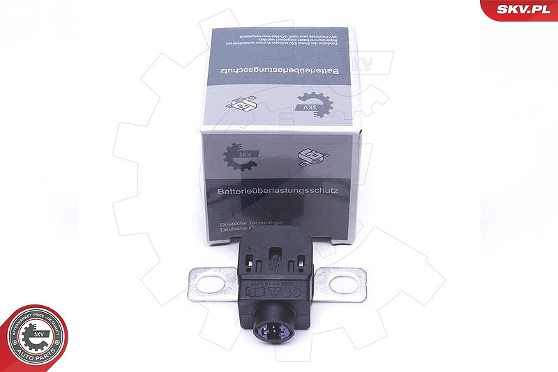Esen Skv Sensor, Batteriemanagement [Hersteller-Nr. 96SKV300] für Audi, VW
