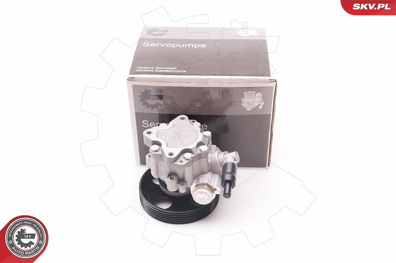 Esen Skv Hydraulikpumpe, Lenkung [Hersteller-Nr. 10SKV197] für Fiat, Citroën, Peugeot
