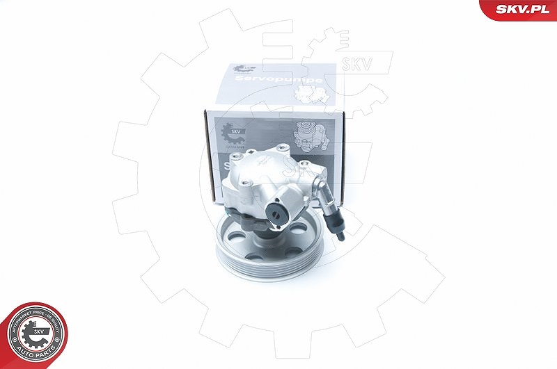 Esen Skv Hydraulikpumpe, Lenkung [Hersteller-Nr. 10SKV185] für Audi