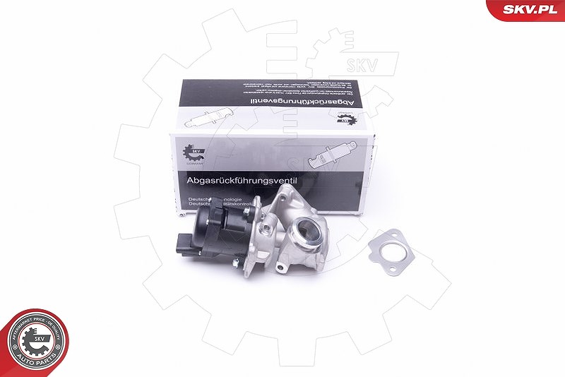 Esen Skv AGR-Ventil [Hersteller-Nr. 14SKV202] für Mazda, Ford, Volvo, Mini