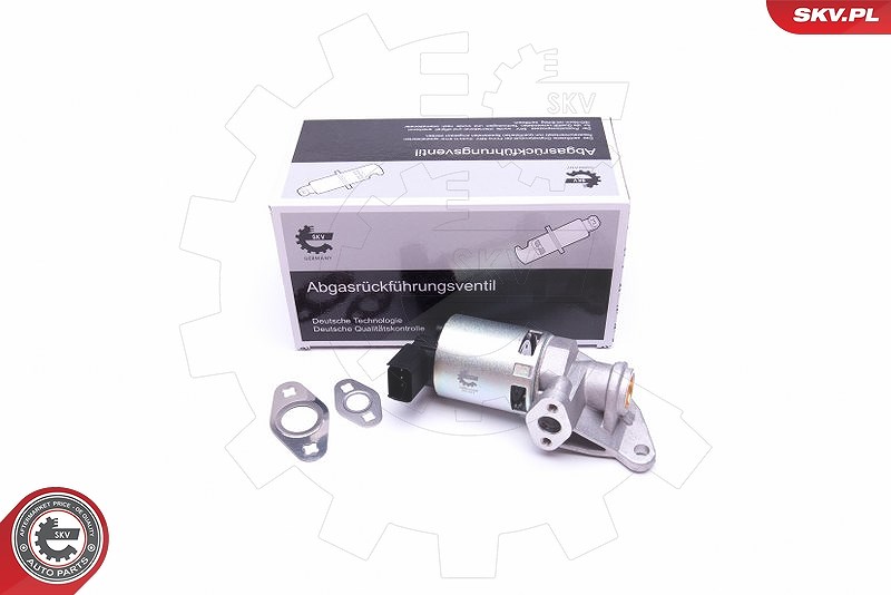 Esen Skv AGR-Ventil [Hersteller-Nr. 14SKV208] für Chrysler, Dodge, Jeep