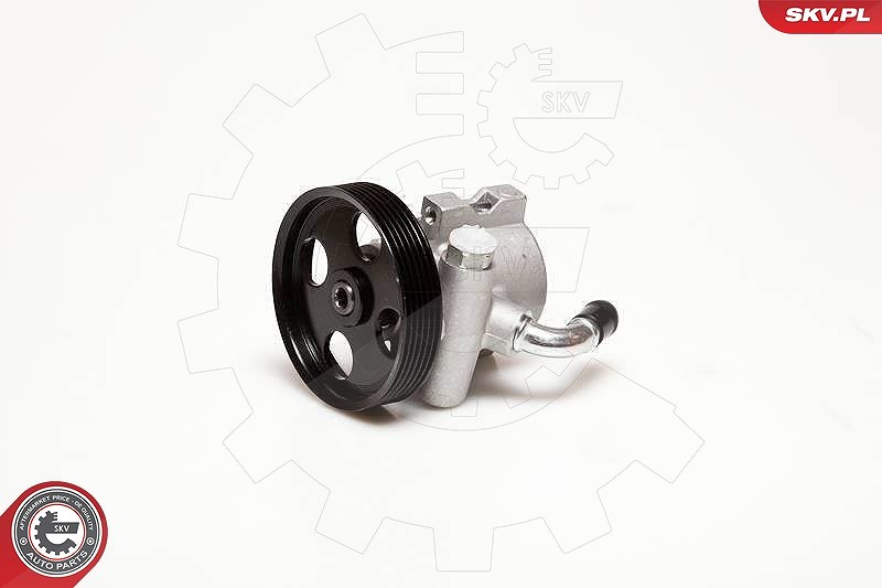 Esen Skv Hydraulikpumpe, Lenkung [Hersteller-Nr. 10SKV085] für Citroën, Peugeot