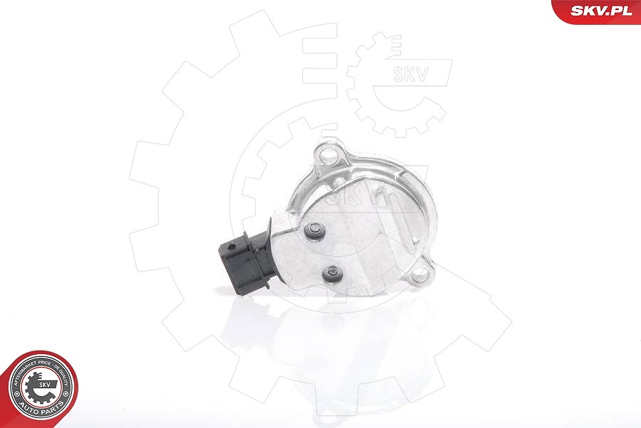 Esen Skv Sensor, Nockenwellenposition [Hersteller-Nr. 17SKV200] für Audi