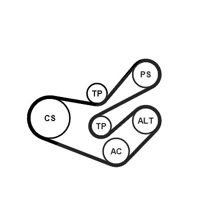 Continental Ctam Keilrippenriemensatz [Hersteller-Nr. 6PK1750K3] für Peugeot, Citroën