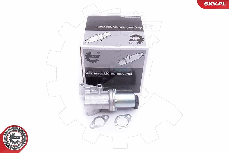 Esen Skv AGR-Ventil [Hersteller-Nr. 14SKV211] für Hyundai, Kia