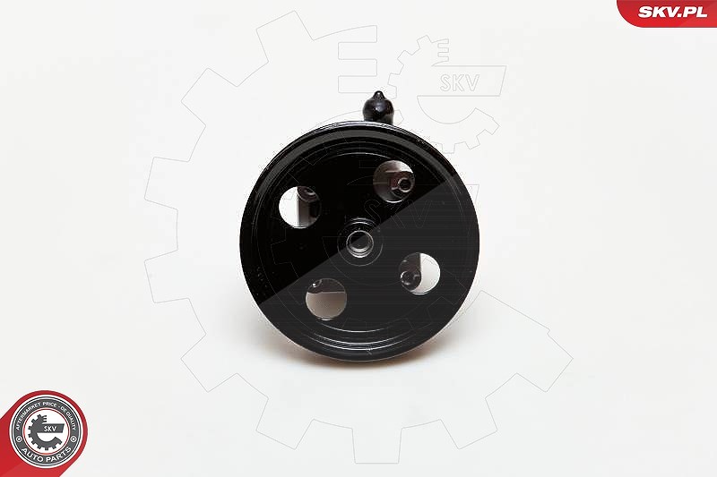 Esen Skv Hydraulikpumpe, Lenkung [Hersteller-Nr. 10SKV177] für Volvo