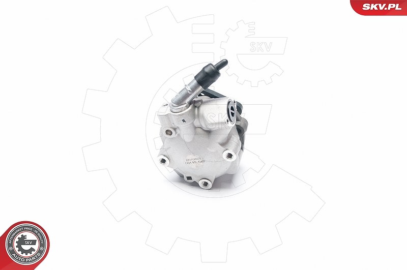 Esen Skv Hydraulikpumpe, Lenkung [Hersteller-Nr. 10SKV187] für Alfa Romeo