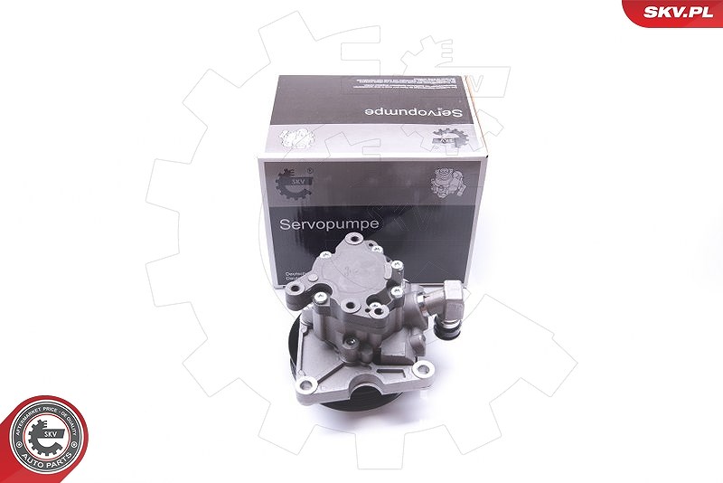 Esen Skv Hydraulikpumpe, Lenkung [Hersteller-Nr. 10SKV272] für Mercedes-Benz