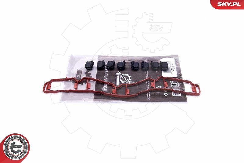 Esen Skv Reparatursatz, Saugrohrmodul [Hersteller-Nr. 49SKV514] für Audi, Skoda, VW, Seat