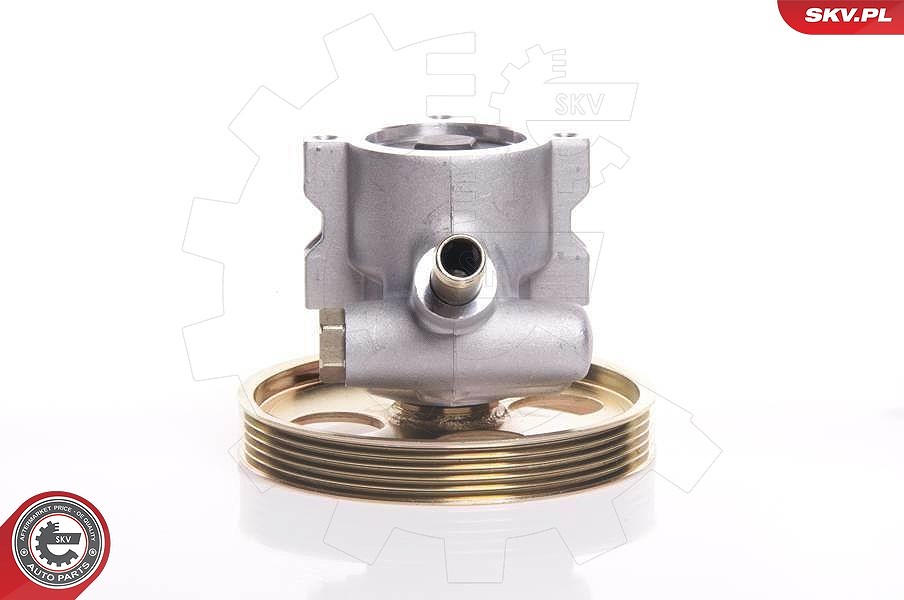 Esen Skv Hydraulikpumpe, Lenkung [Hersteller-Nr. 10SKV119] für Peugeot, Citroën
