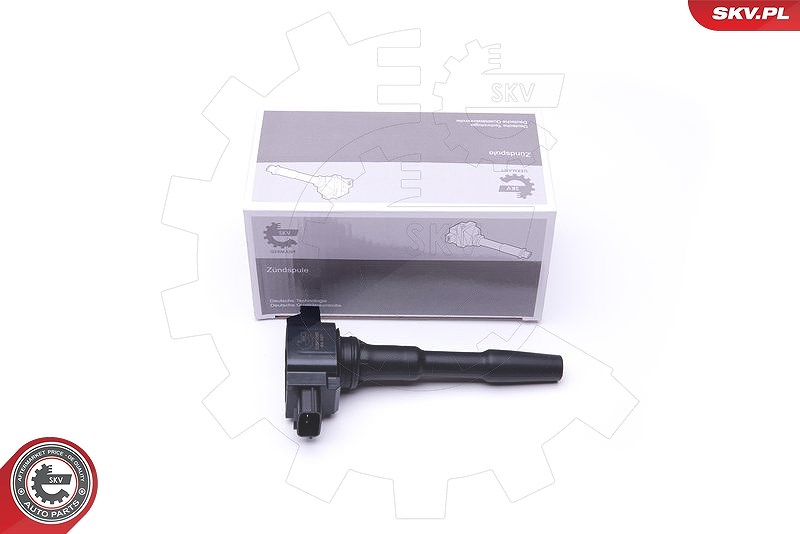 Esen Skv Zündspule [Hersteller-Nr. 03SKV280] für Dacia, Nissan, Renault