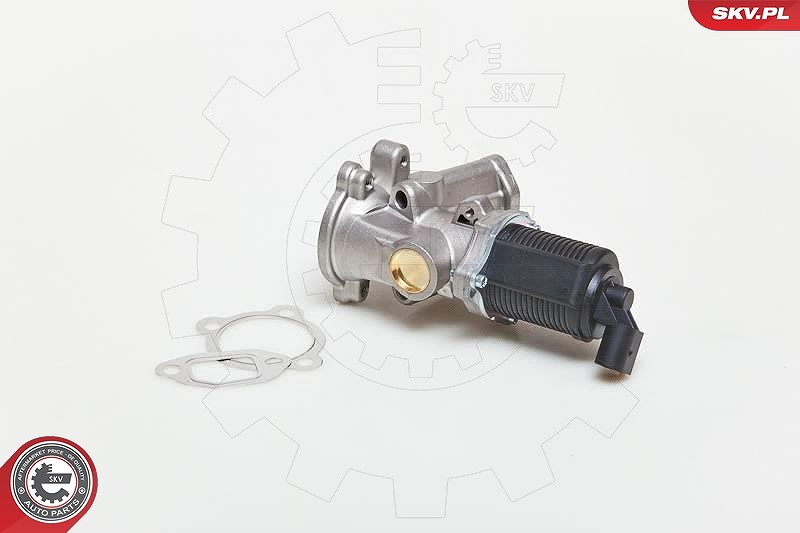 Esen Skv AGR-Ventil [Hersteller-Nr. 14SKV039] für Fiat, Lancia, Ford