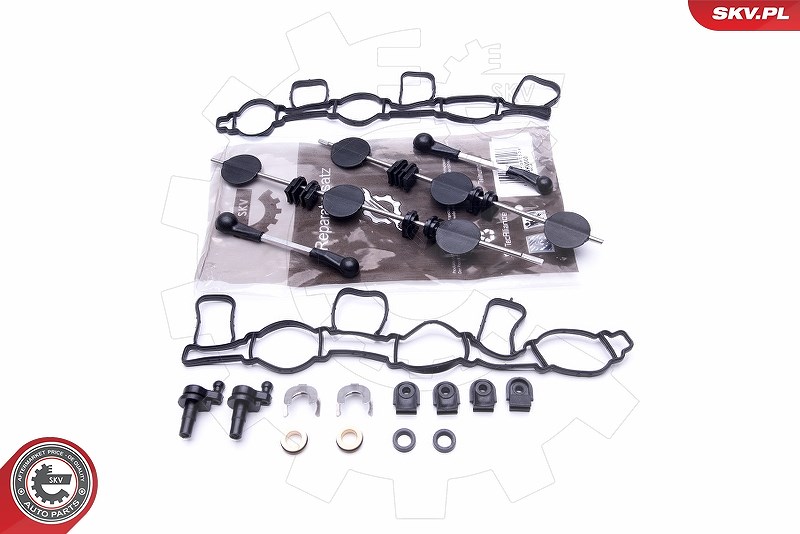 Esen Skv Reparatursatz, Saugrohrmodul [Hersteller-Nr. 49SKV500] für Audi, VW