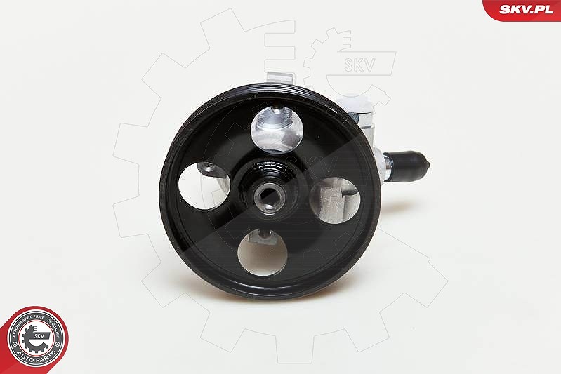 Esen Skv Hydraulikpumpe, Lenkung [Hersteller-Nr. 10SKV057] für Peugeot, Citroën