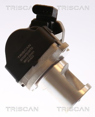 Triscan AGR-Ventil [Hersteller-Nr. 881323101] für Chrysler, Mercedes-Benz, Jeep