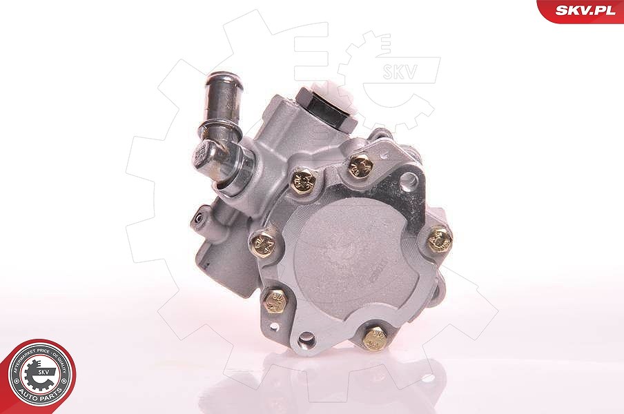 Esen Skv Hydraulikpumpe, Lenkung [Hersteller-Nr. 10SKV105] für VW