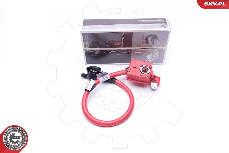 Esen Skv Batterieadapter [Hersteller-Nr. 96SKV301] für BMW