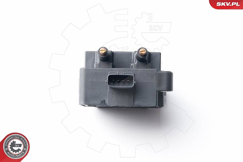 Esen Skv Zündspule [Hersteller-Nr. 03SKV238] für Subaru