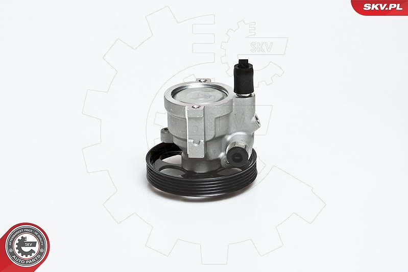 Esen Skv Hydraulikpumpe, Lenkung [Hersteller-Nr. 10SKV151] für Nissan, Renault, Opel