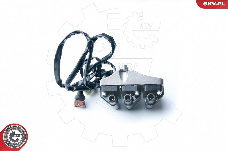 Esen Skv Zündspule [Hersteller-Nr. 03SKV217] für Audi