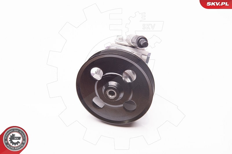 Esen Skv Hydraulikpumpe, Lenkung [Hersteller-Nr. 10SKV238] für Land Rover