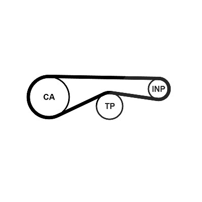 Continental Ctam Zahnriemen [Hersteller-Nr. CT1194] für VW, Audi