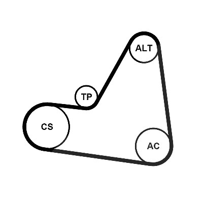 Continental Ctam Keilrippenriemensatz [Hersteller-Nr. 6PK1680K1] für Citroën, Peugeot