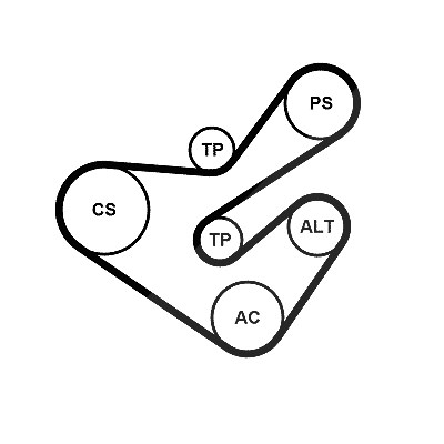 Continental Ctam Keilrippenriemensatz [Hersteller-Nr. 6PK1733K5] für Peugeot, Citroën