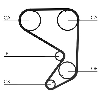 Continental Ctam Zahnriemen [Hersteller-Nr. CT652] für Fiat, Pininfarina, Abarth, Lancia