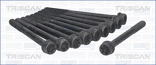 Triscan Zylinderkopfschraubensatz [Hersteller-Nr. 98-2526] für Suzuki, Subaru, Opel, Chevrolet, Vauxhall, Peugeot, Tata, Ford, Fiat, Lancia, Chrysler,