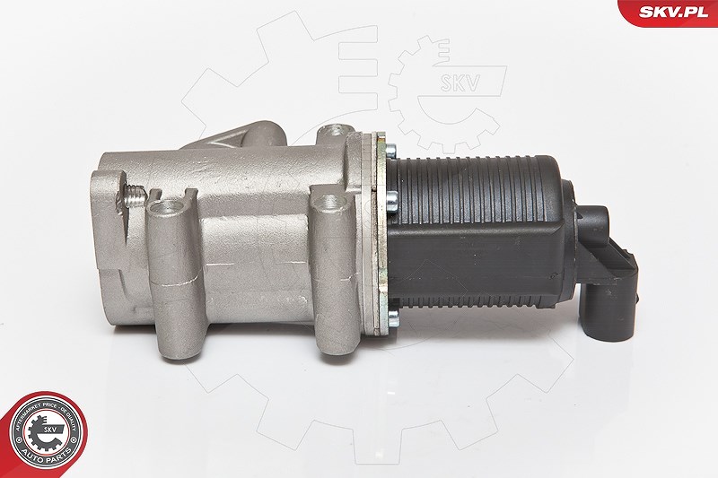 Esen Skv AGR-Ventil [Hersteller-Nr. 14SKV076] für Alfa Romeo, Lancia, Fiat