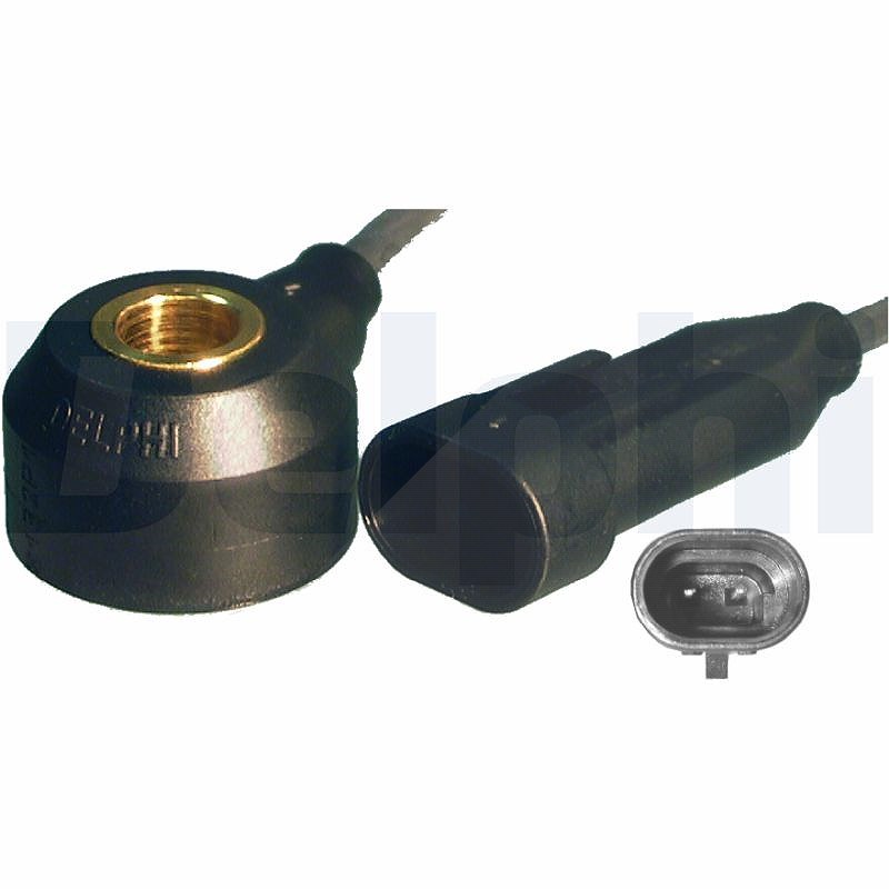 Delphi Klopfsensor [Hersteller-Nr. AS10134-12B1] für Opel, Renault, Vauxhall