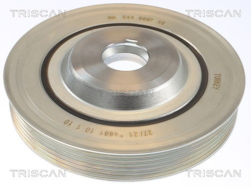 Triscan Riemenscheibe, Kurbelwelle [Hersteller-Nr. 864310006a] für Ford Usa, Peugeot, Ford, Lancia, Fiat, Ds, Volvo, Citroën