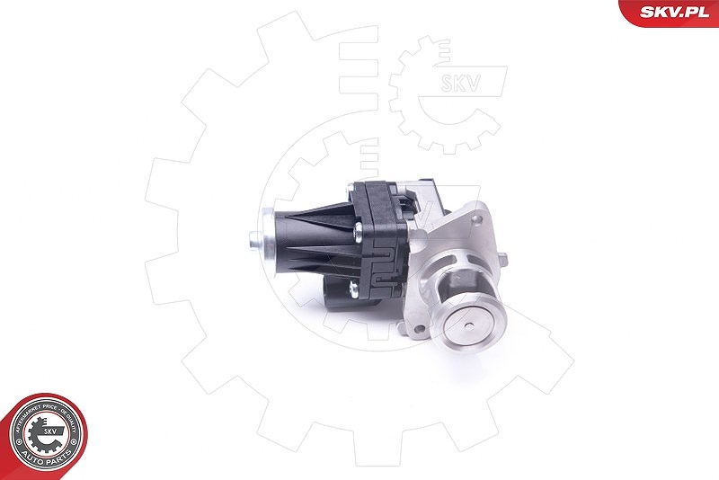 Esen Skv AGR-Ventil [Hersteller-Nr. 14SKV159] für Citroën, Suzuki, Fiat, Chrysler, Alfa Romeo, Opel, Vauxhall, Peugeot, Lancia