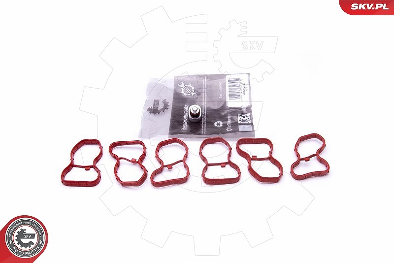 Esen Skv Reparatursatz, Saugrohrmodul [Hersteller-Nr. 49SKV522] für BMW